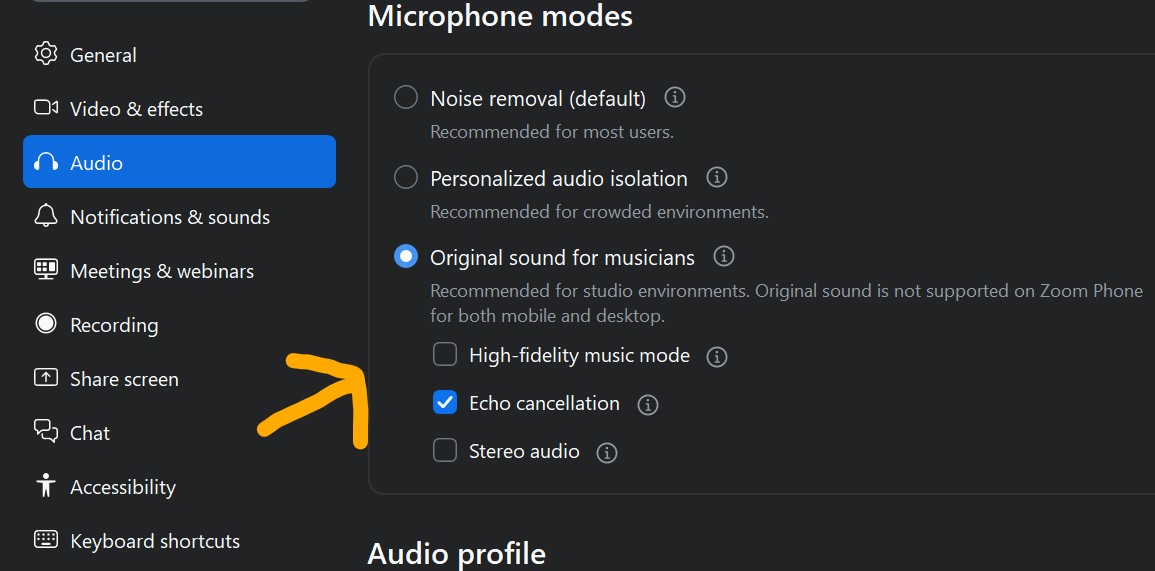 Zoom audio settings setup example for live online piano class